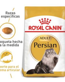 royal canin gatos persian