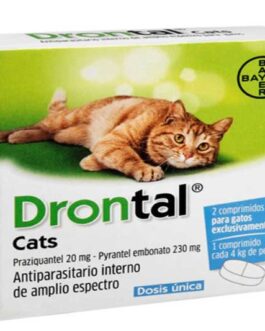 drontal gatos