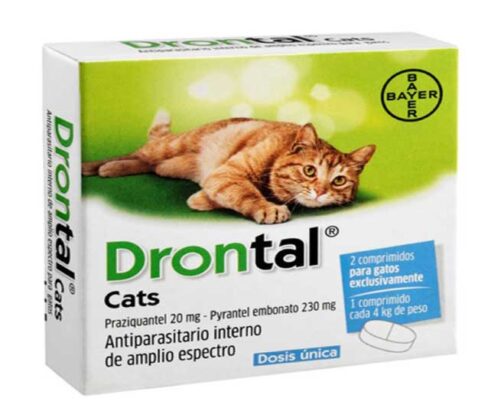 drontal gatos