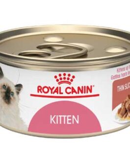 royal canin kitten lata