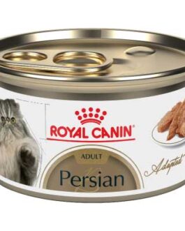 royal canin persa lata