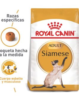 royal canin siameses