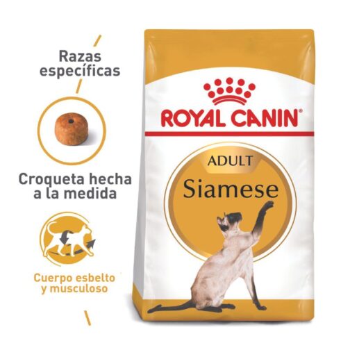 royal canin siameses