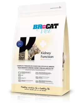 br for cat vet kidney